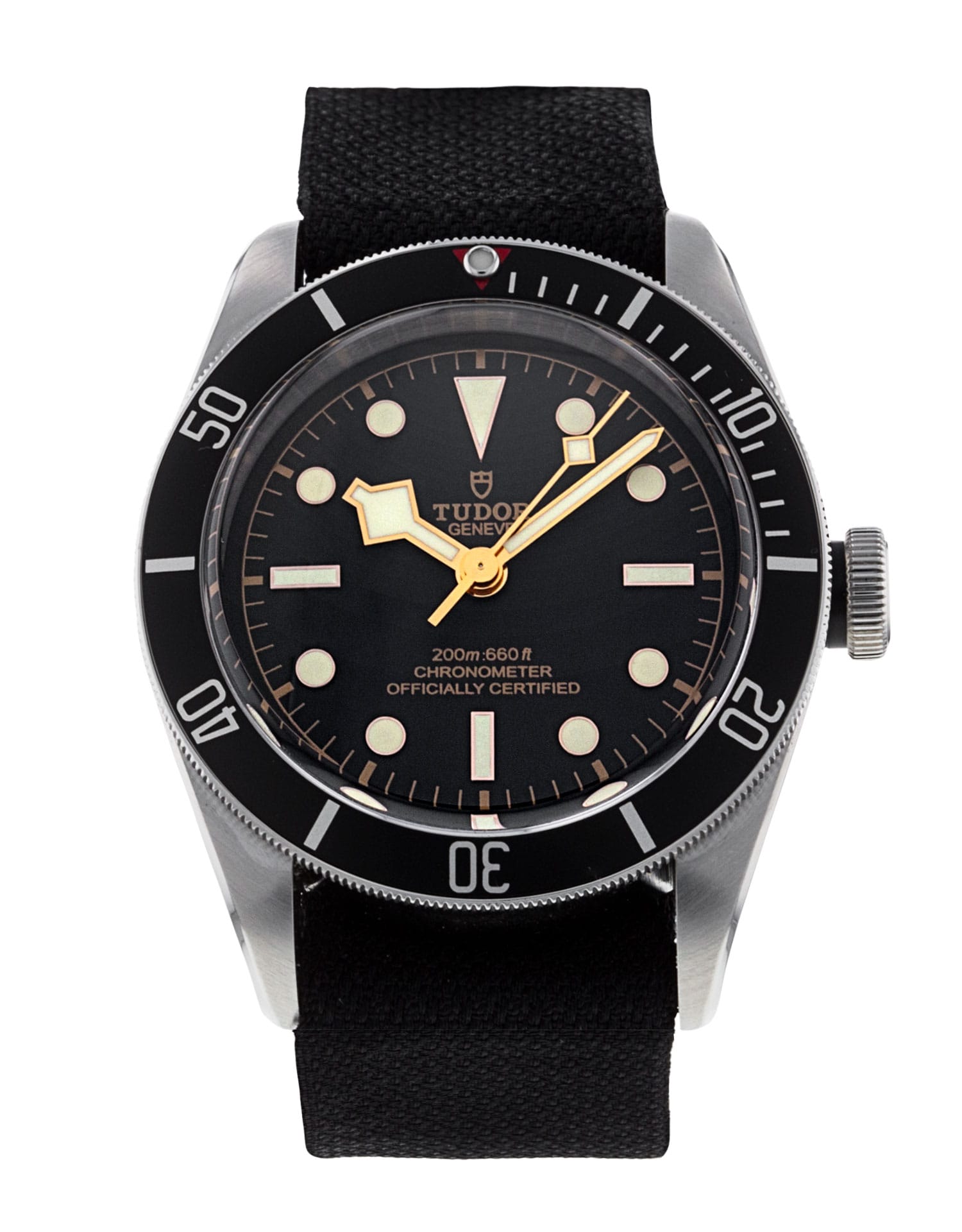 Tudor Black Bay M79230N-0005